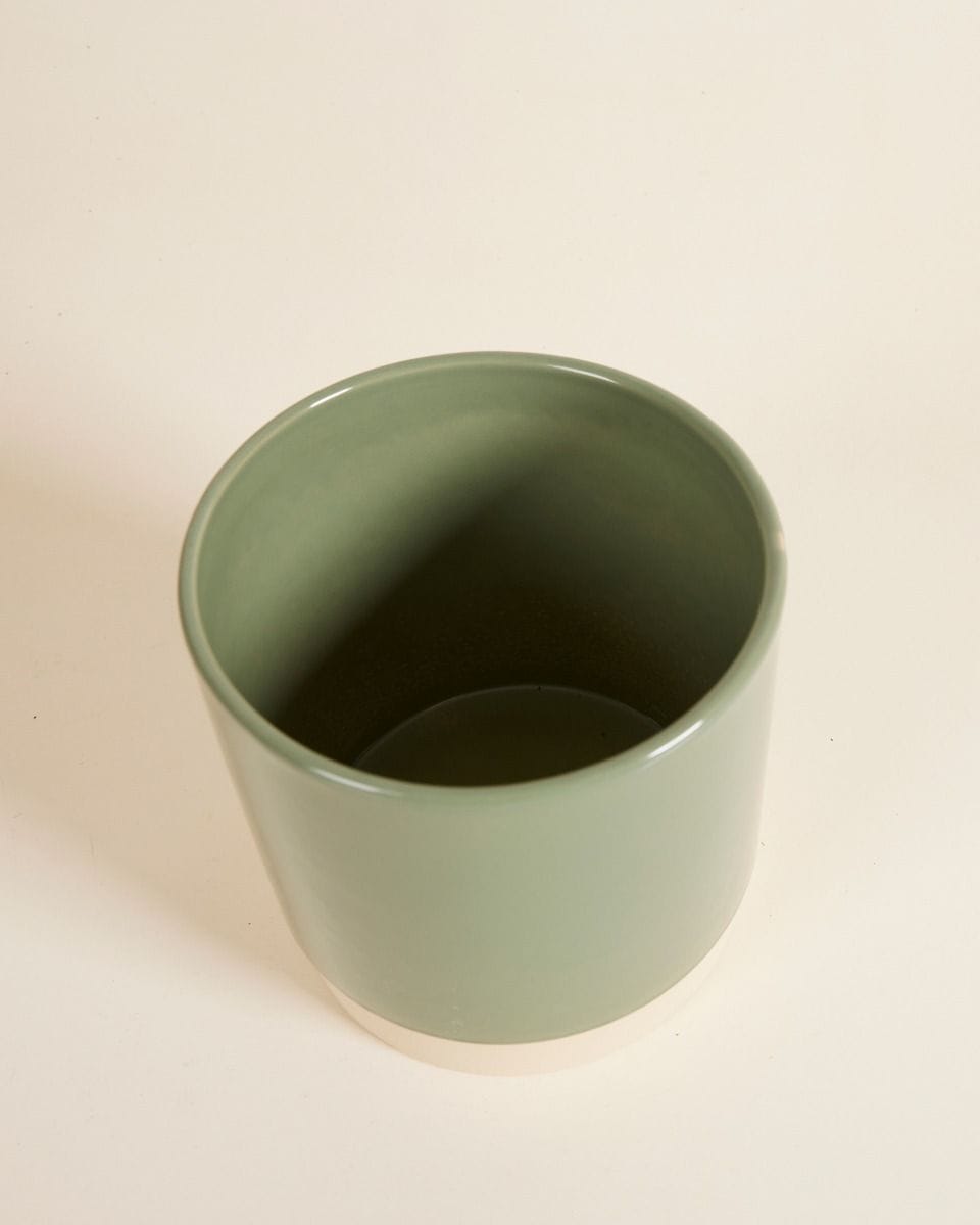 Lisa Pot Green Ø 12 cm