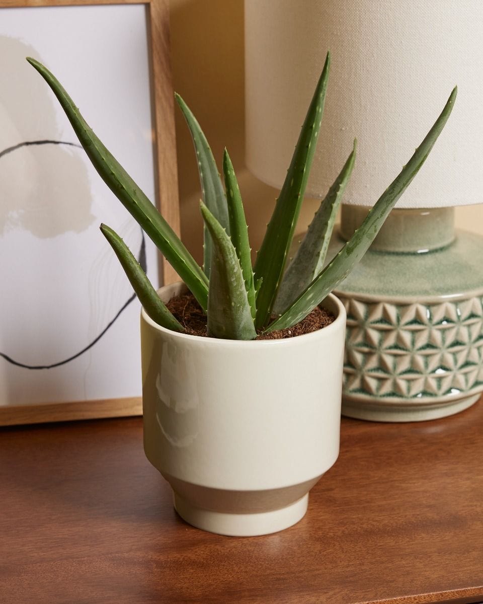 Paulo Pot Beige Ø 12 cm