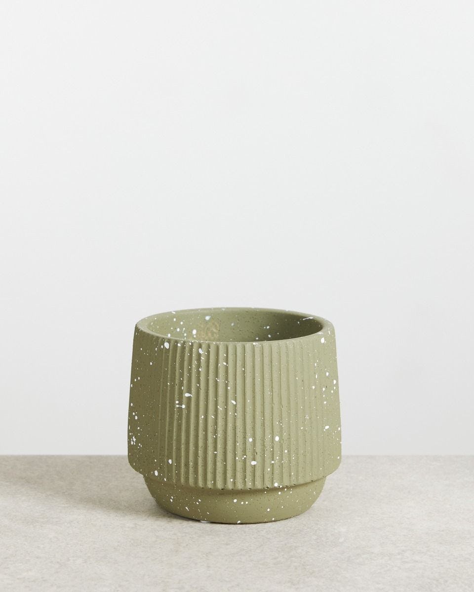 Connie Speckled Pot