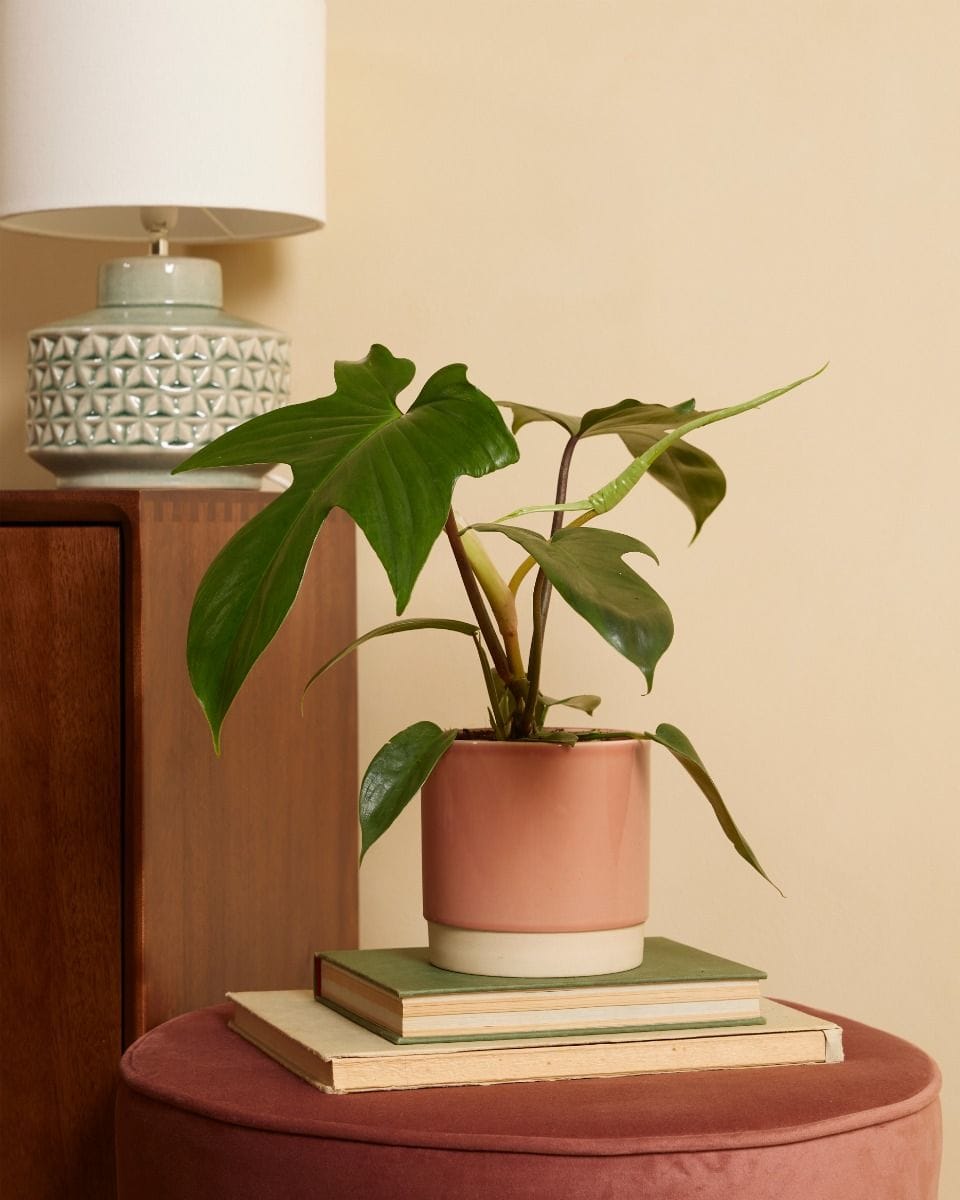 Lisa Pot Dusty Pink Ø 15 cm