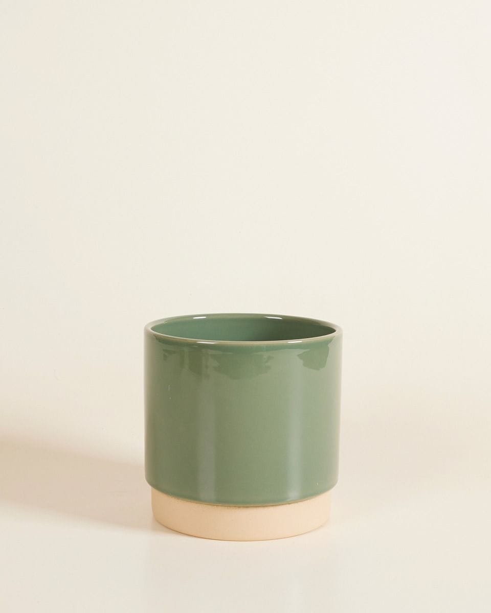Lisa Pot Green Ø 15 cm