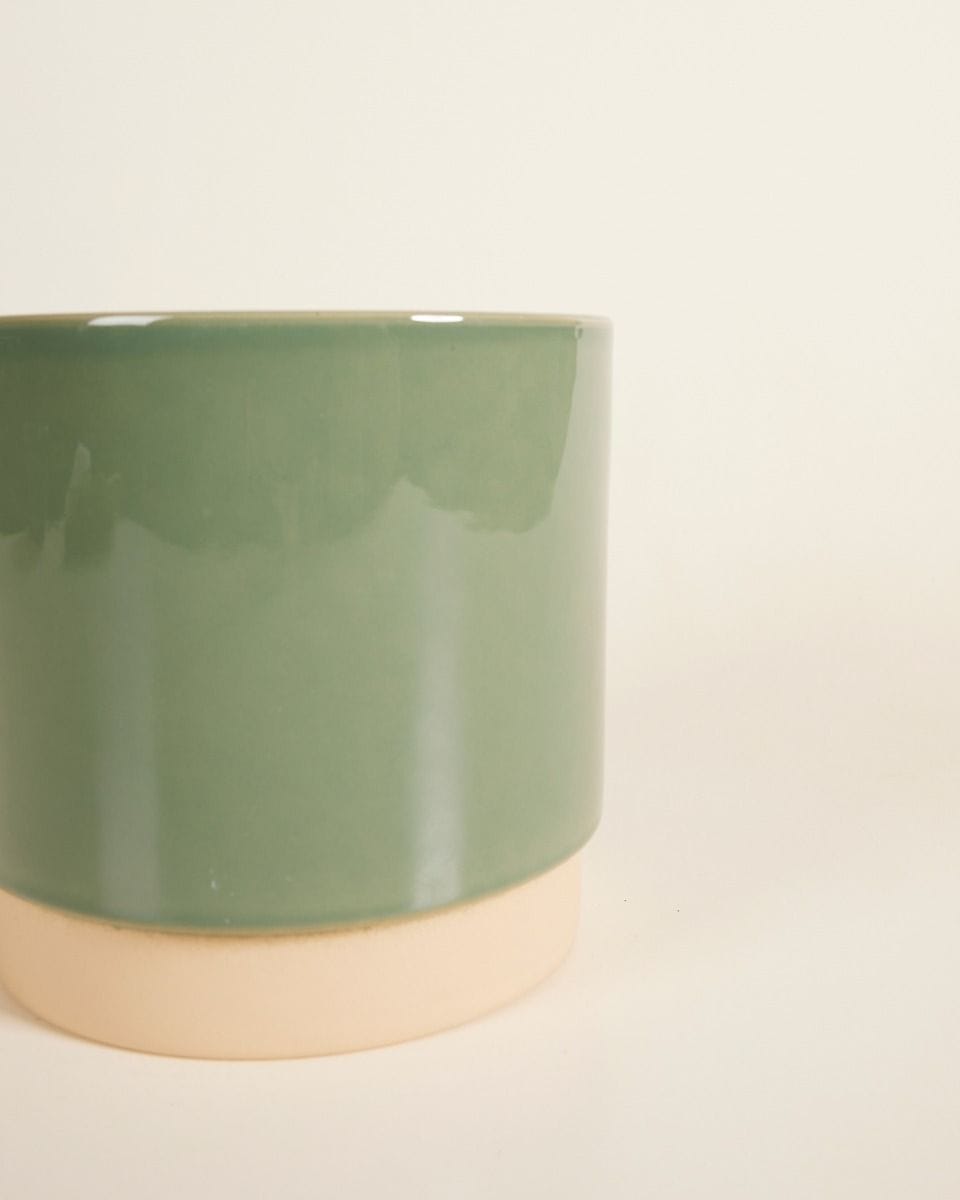 Lisa Pot Vert Ø 15 cm