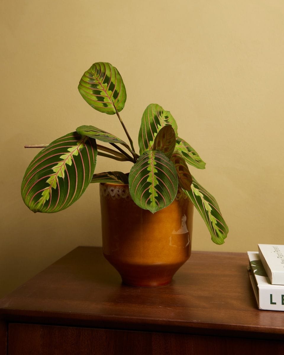 Otis Pot Ocher Ø 13 cm