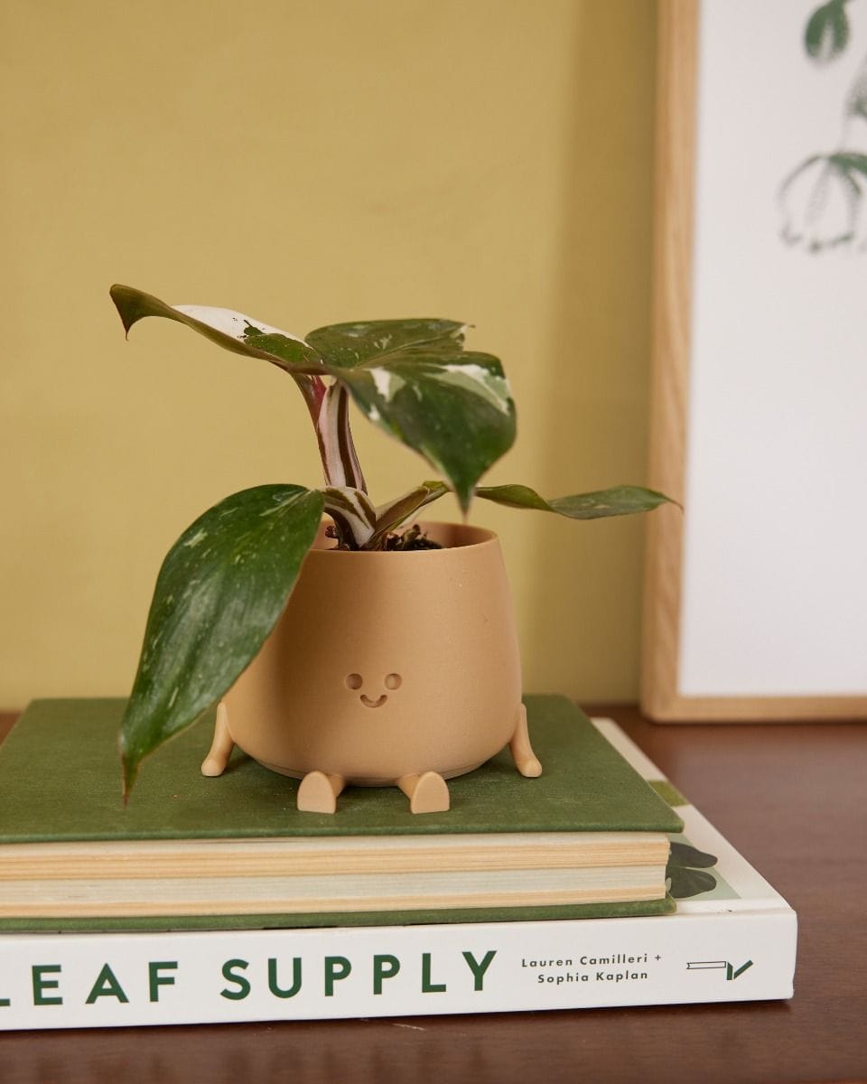 Baby Happy Harry Pot Beige Ø 8 cm