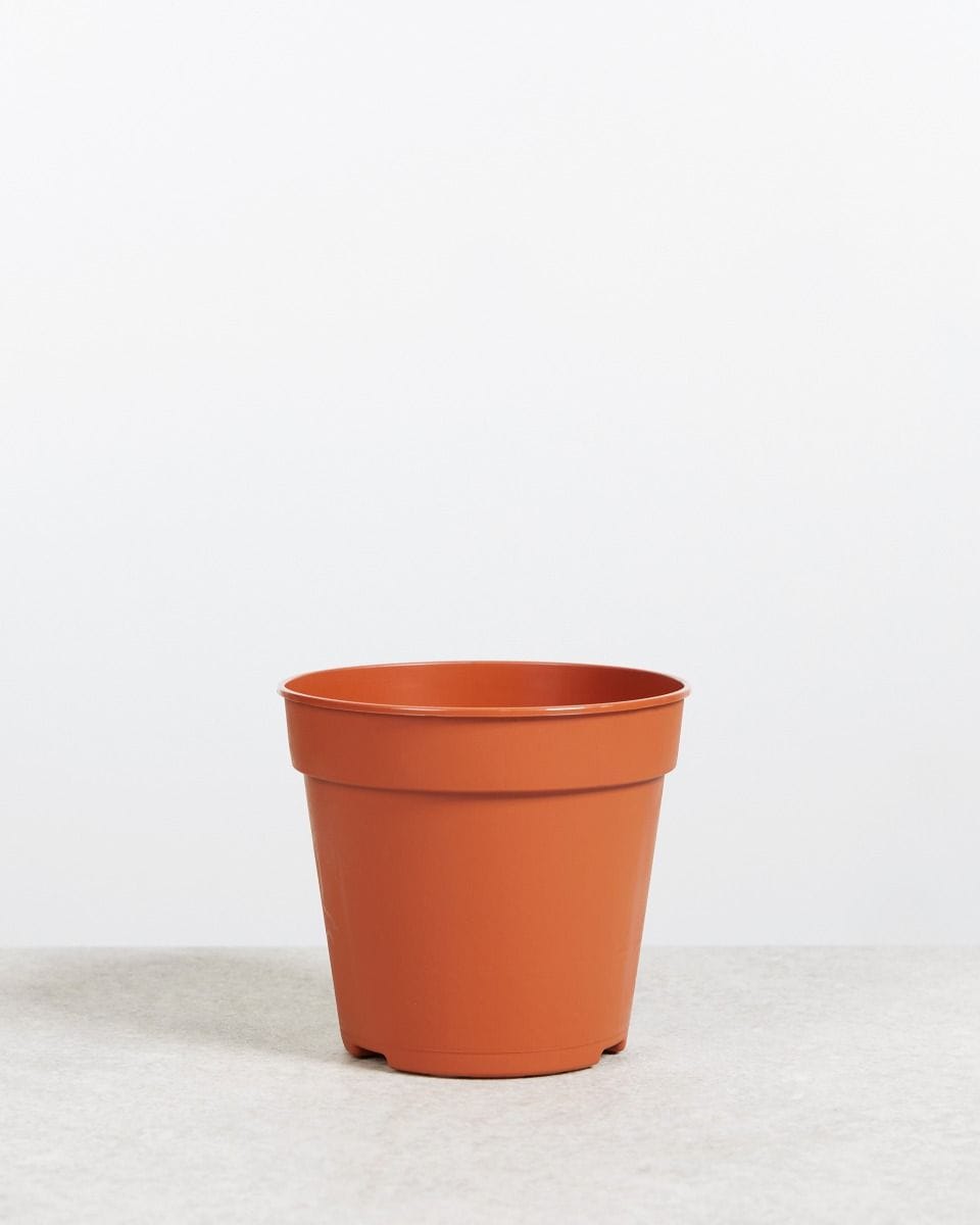 nursery pot