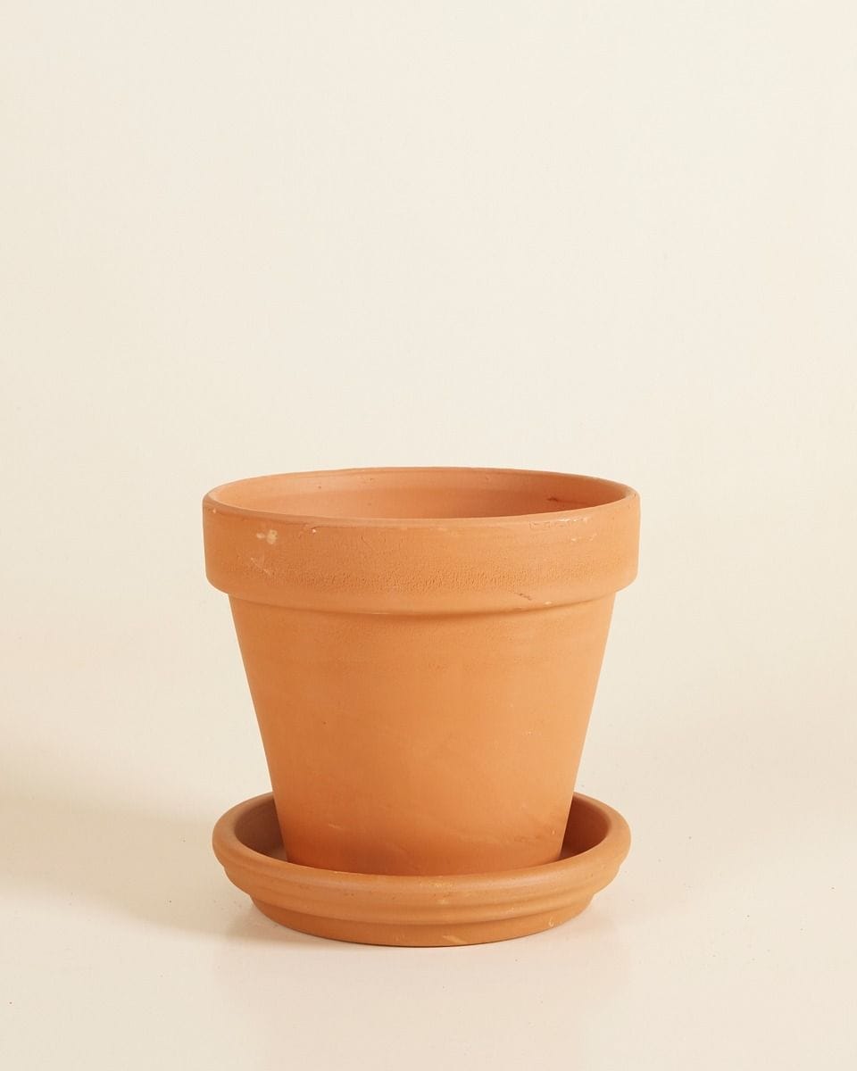 Orange Terracotta Pot Ø 14 cm