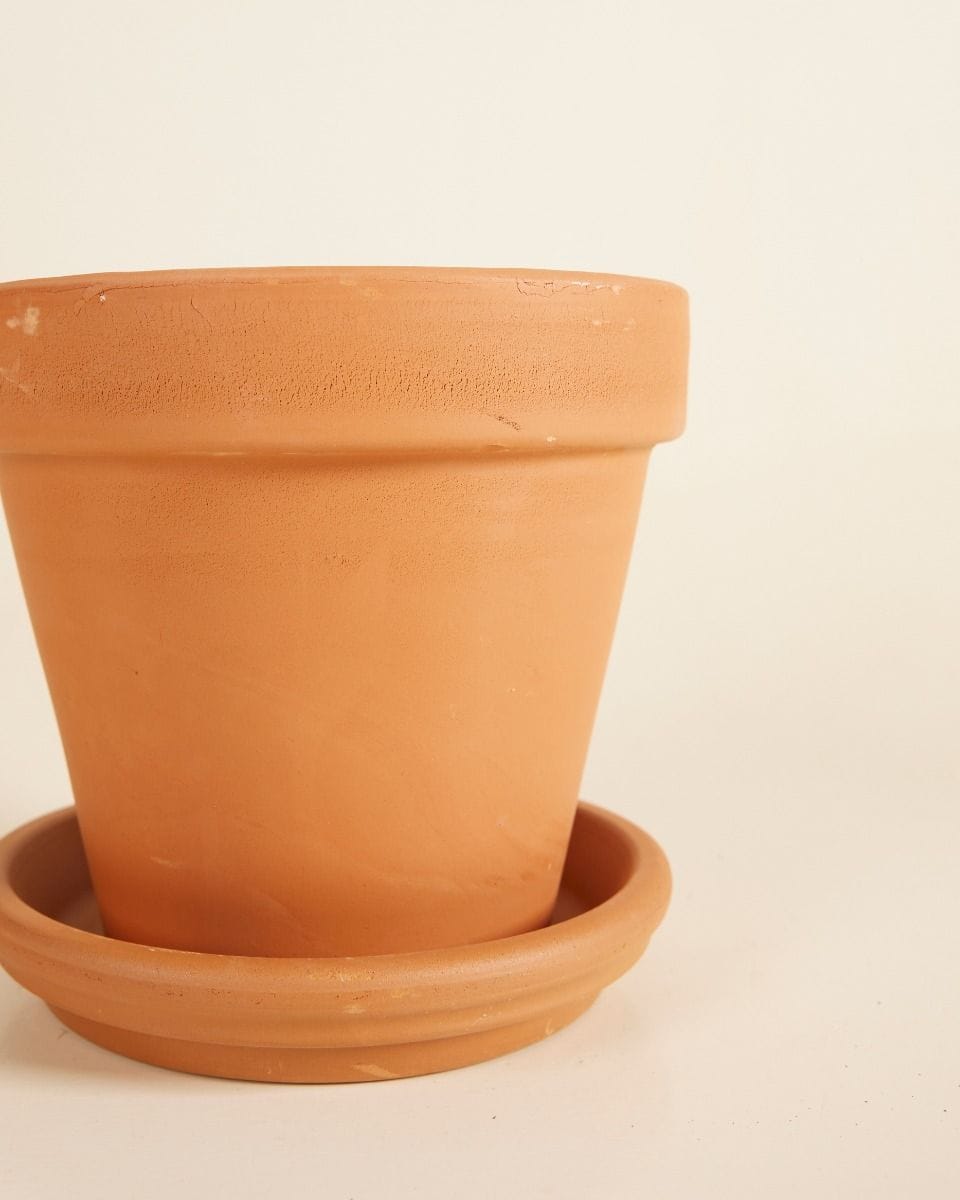 Orange Terracotta Pot Ø 14 cm