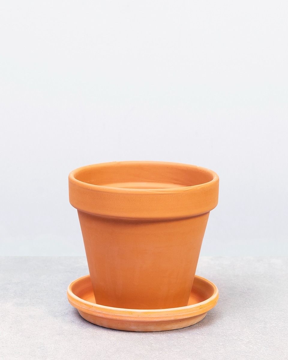 Terracotta Pot Orange