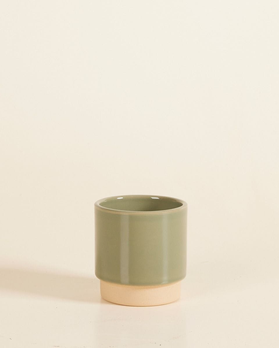 Dziecko Lisa Pot Green Ø 7 cm