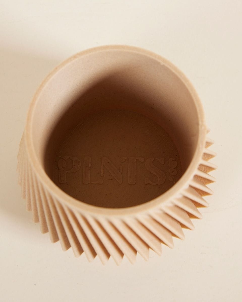 Baby Robin Wood Pot Zigzag Ø 5.5 cm