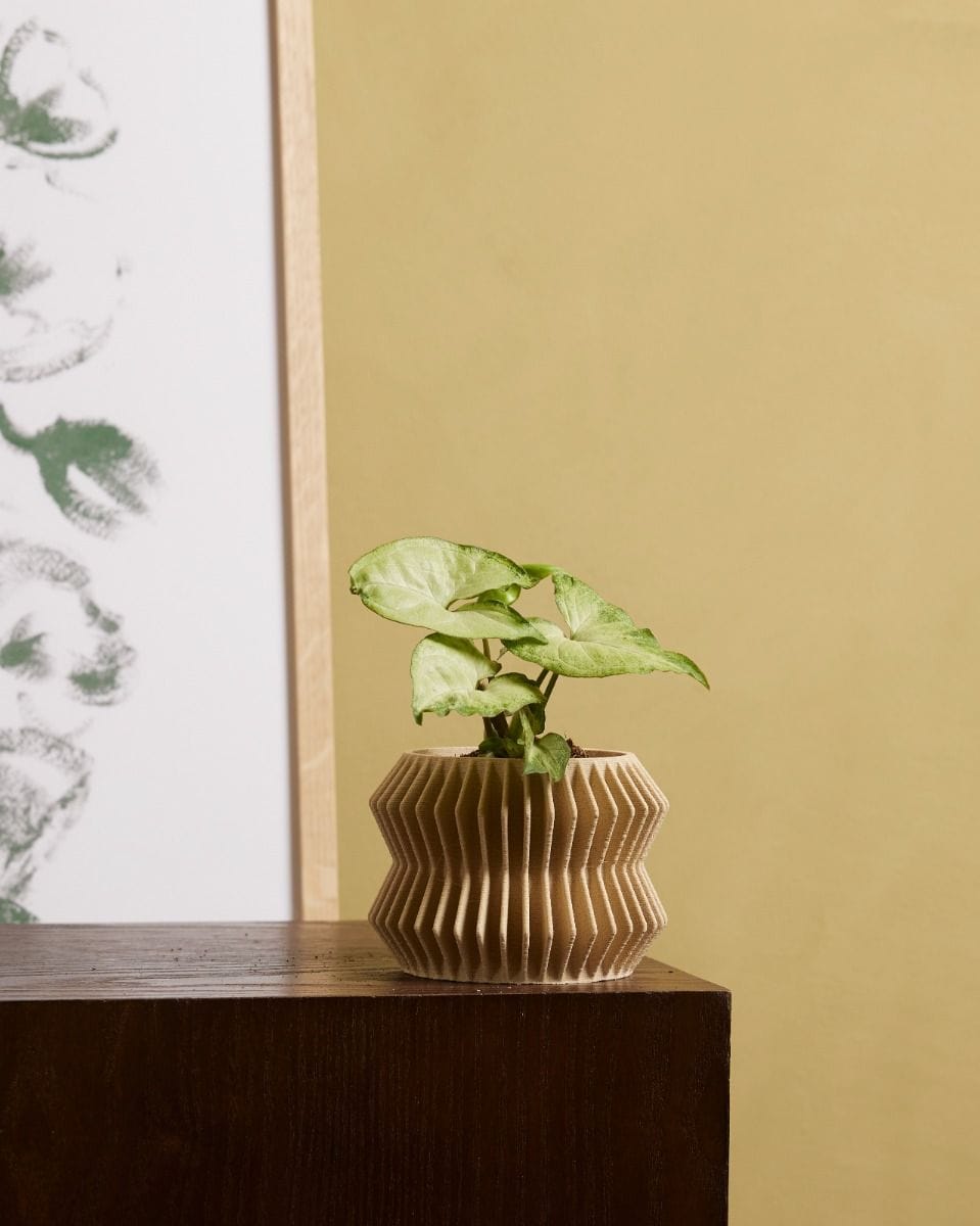 Bebé Robin Wood Pot Chevron Ø 5.5 cm