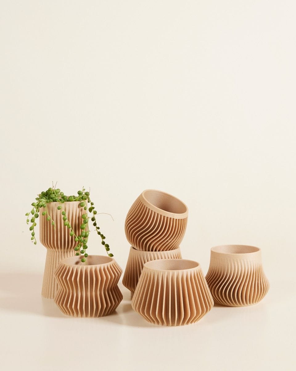 Baby Robin Wood Pot Pillars Ø 5.5 cm