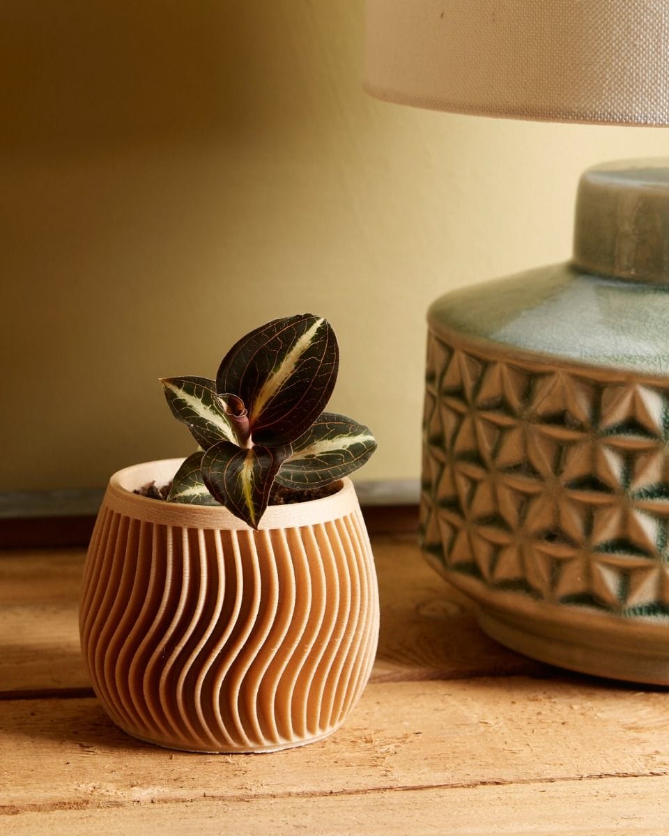 Bebé Robin Wood Pot Swirl Ø 5.5 cm