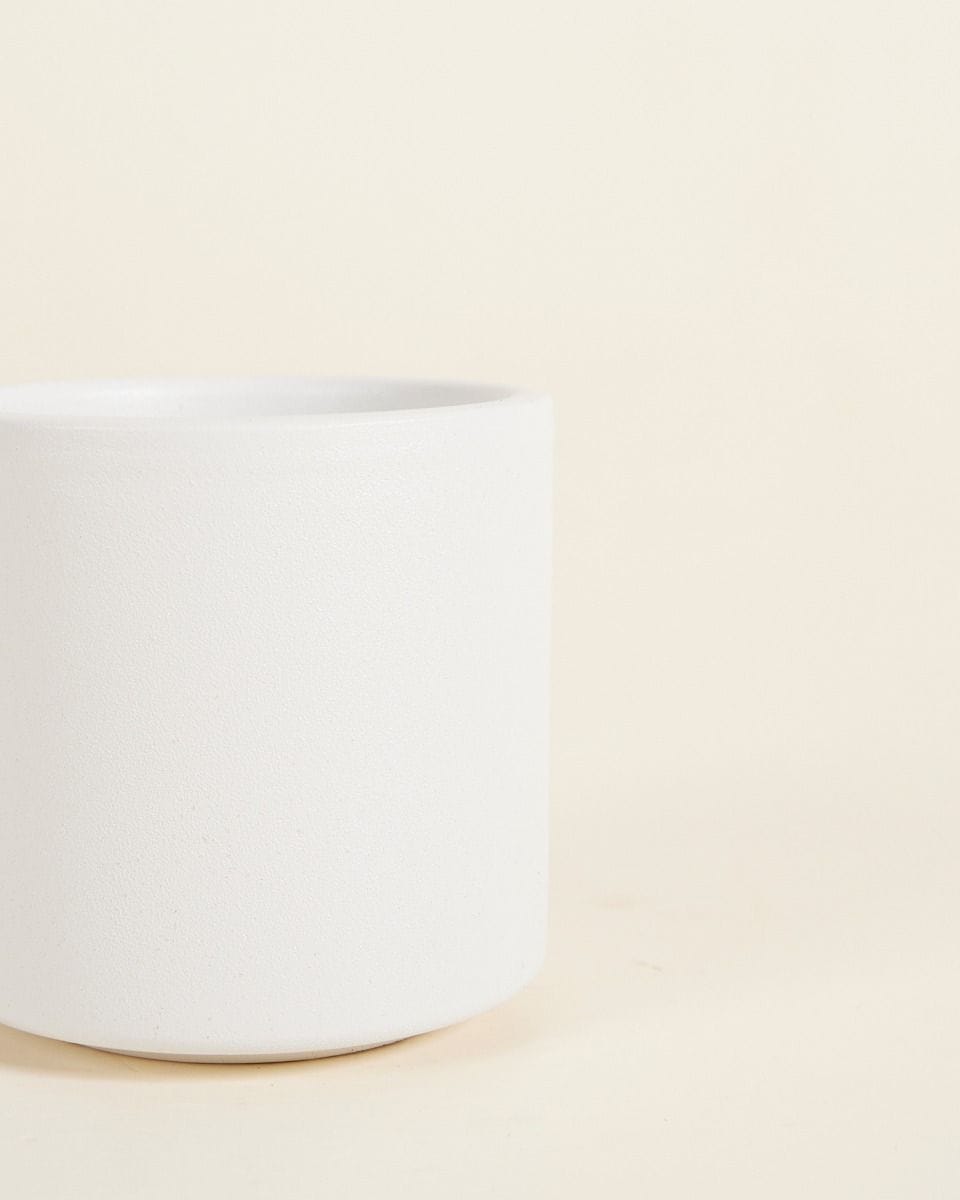 Bebé Penny Pot Light Grey Ø 7 cm