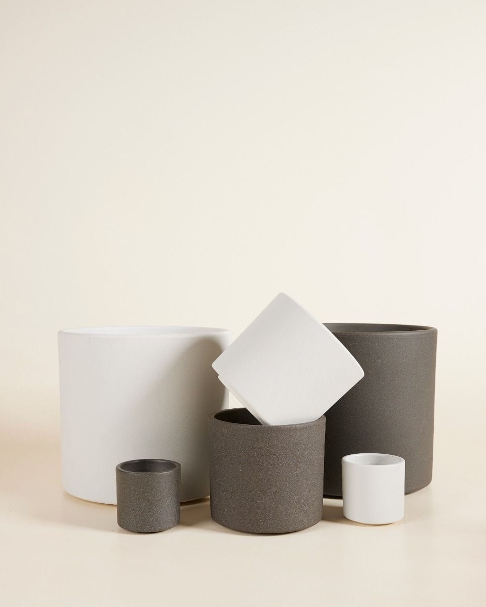 Bebé Penny Pot Light Grey Ø 7 cm