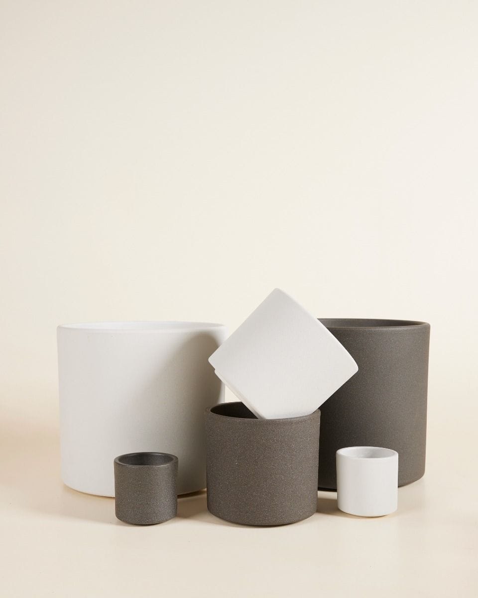 Baby Penny Pot Dark Grey Ø 7 cm