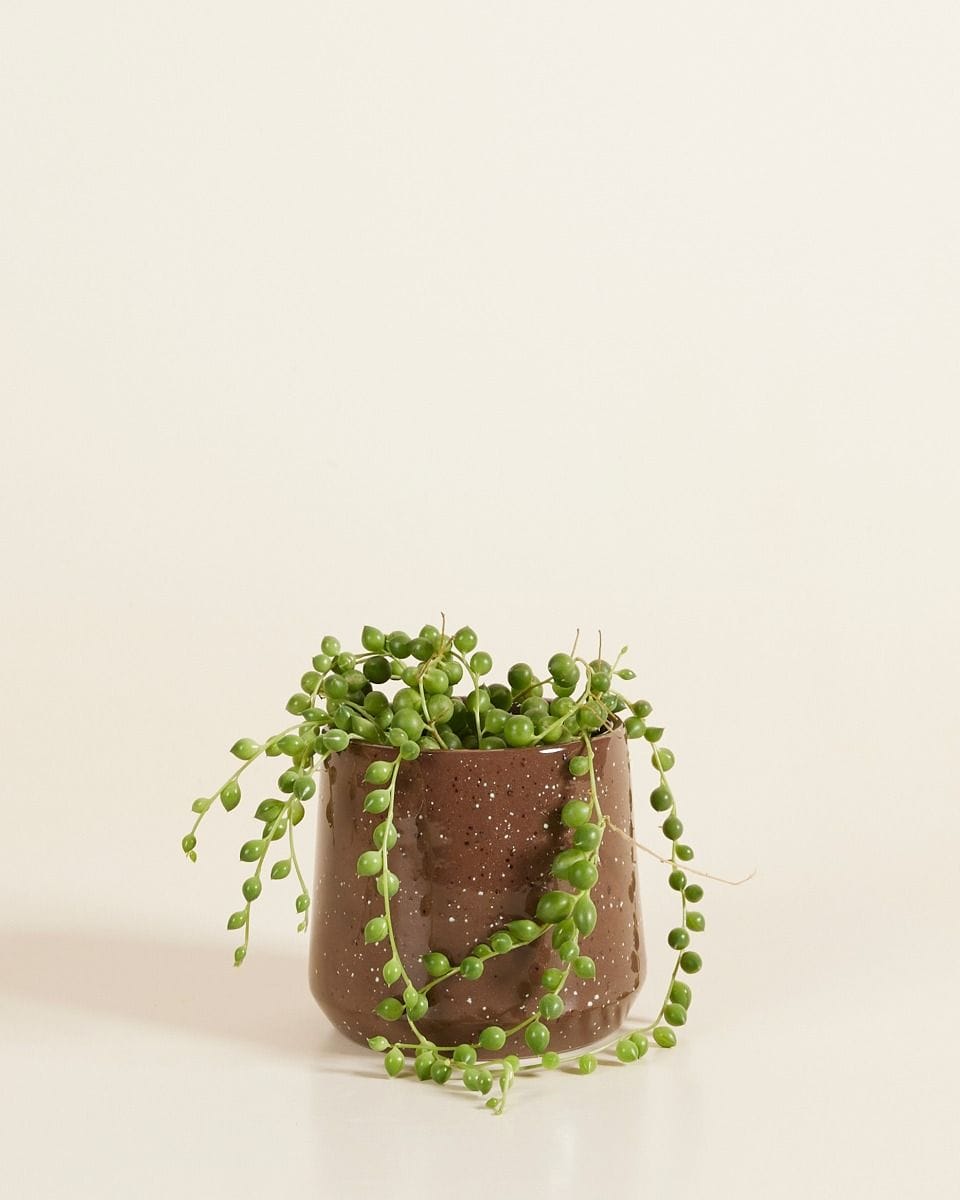 Bébé Mia Pot Terra Ø 7 cm