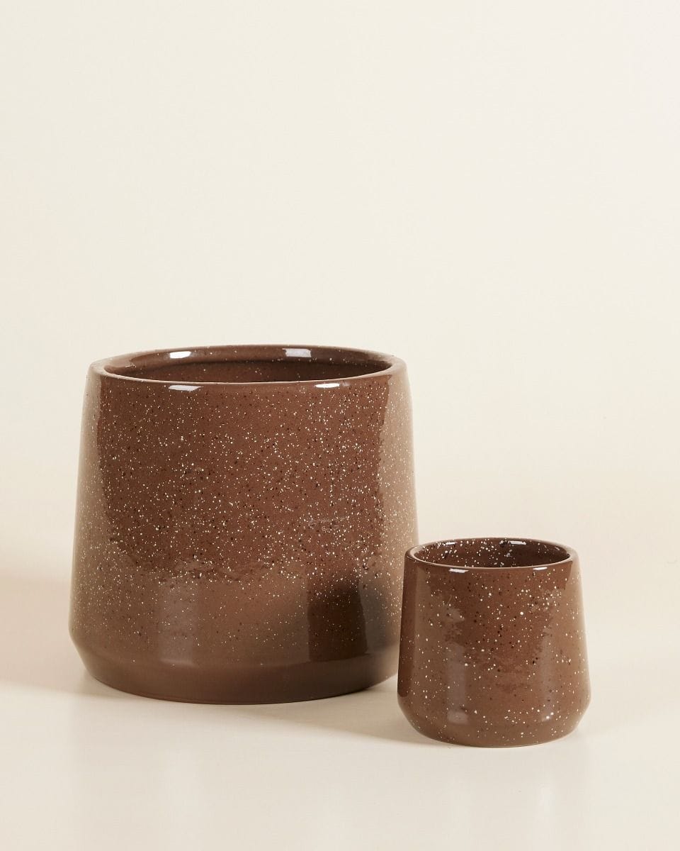 Bébé Mia Pot Terra Ø 7 cm