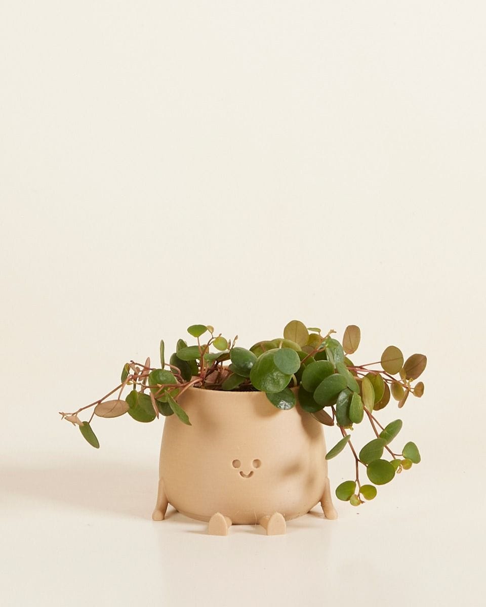 Baby Happy Harry Pot Beige Ø 6 cm