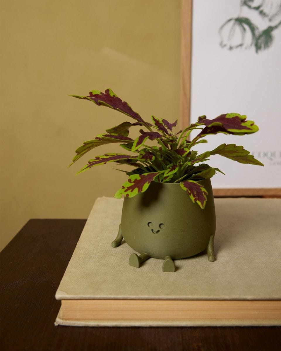 Bebé Happy Harry Pot Green Ø 6 cm