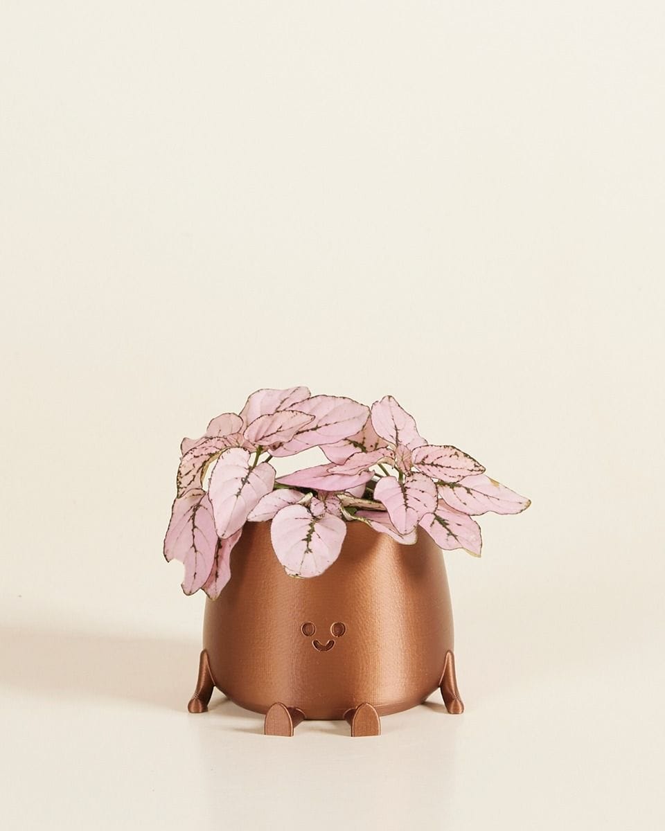 Bebé Happy Harry Pot Copper Ø 6 cm