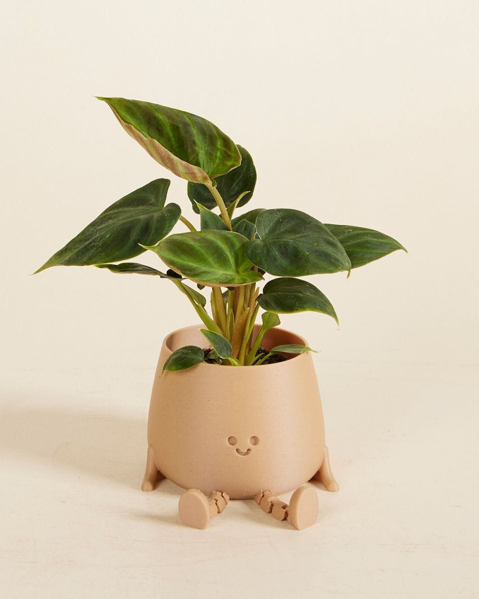Bébé Flexible Legs Harry Pot Beige Ø 6 cm