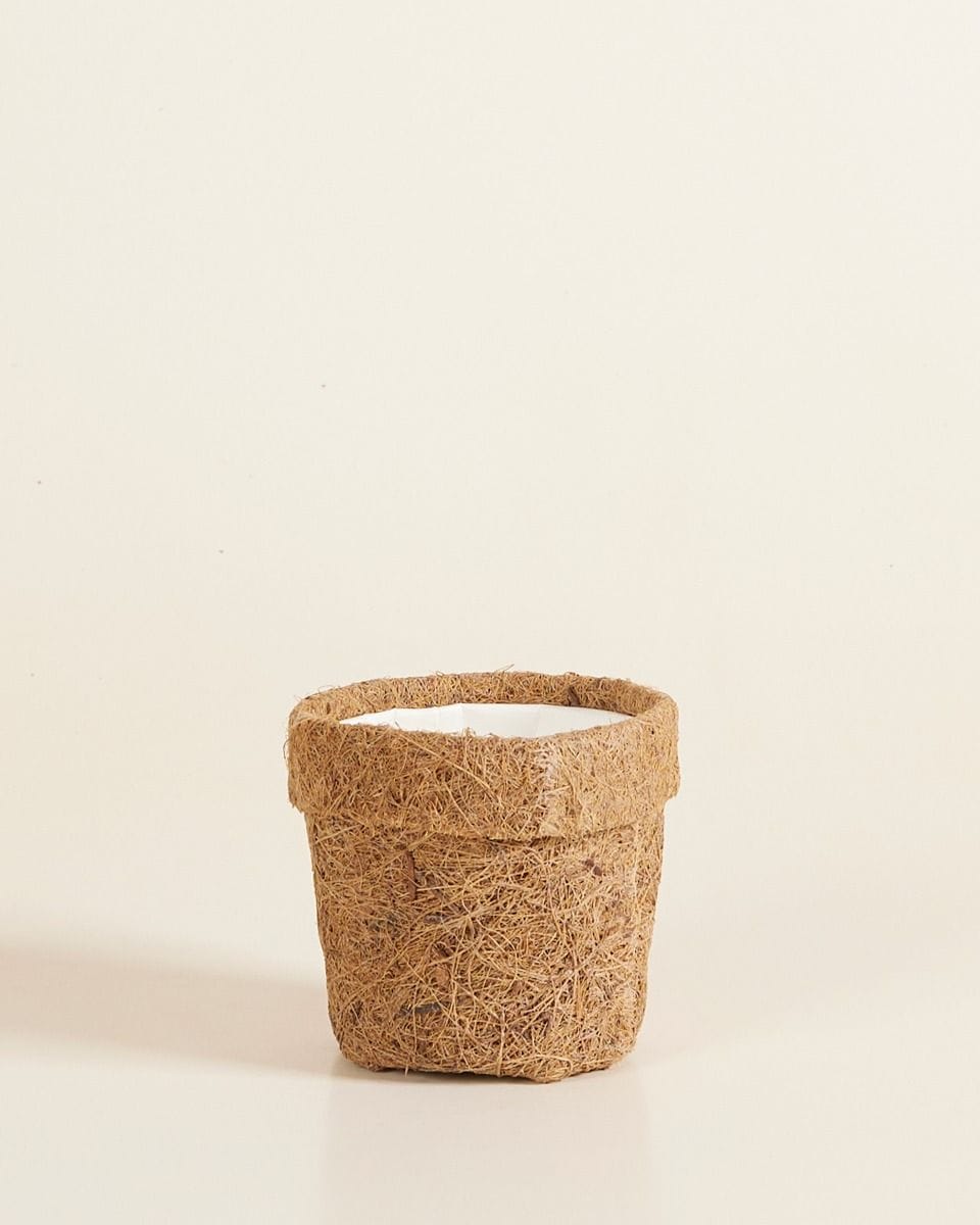 Bebé Ada Kokedama Pot Coconut Fibres Ø 6 cm