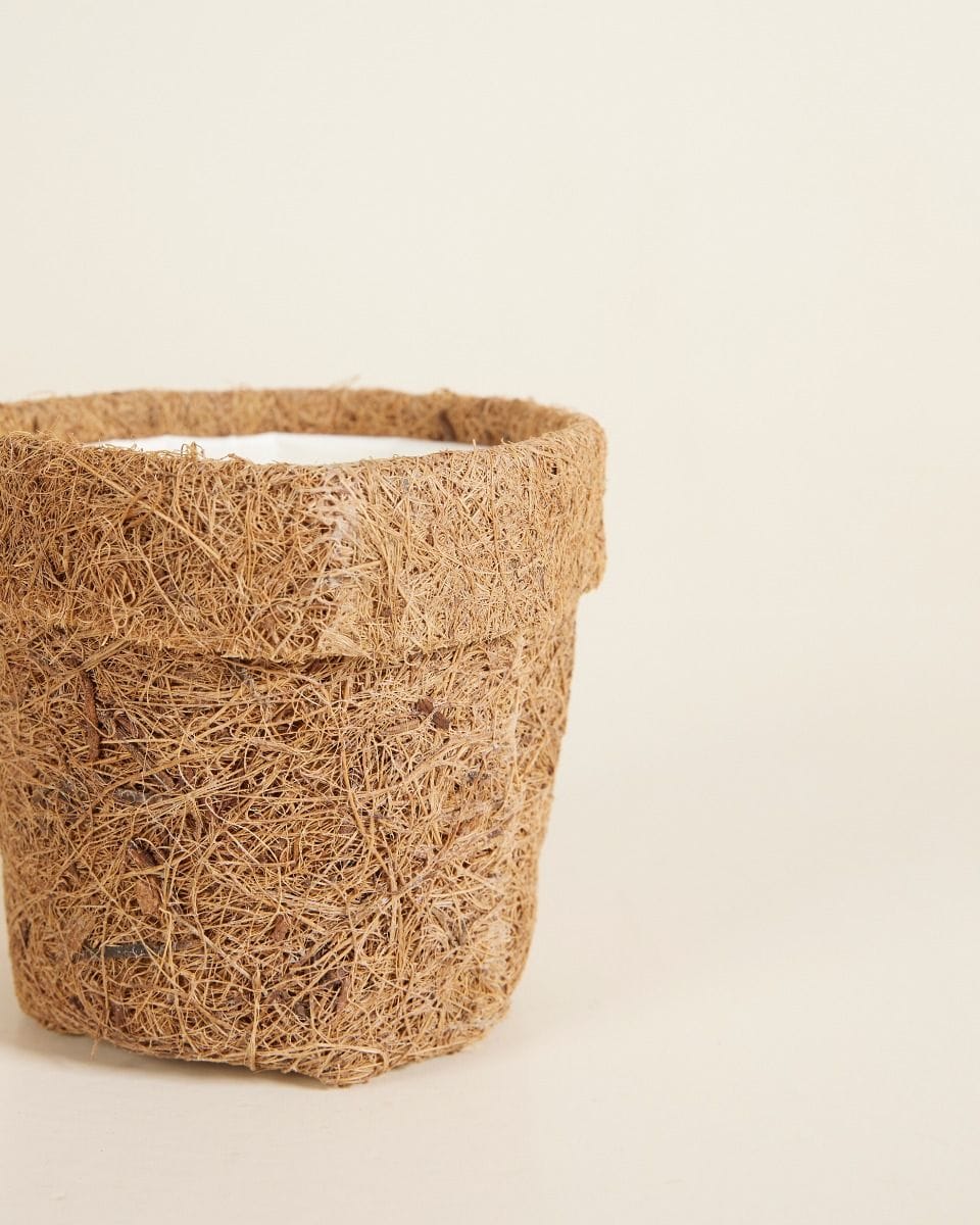Bebé Ada Kokedama Pot Coconut Fibres Ø 6 cm