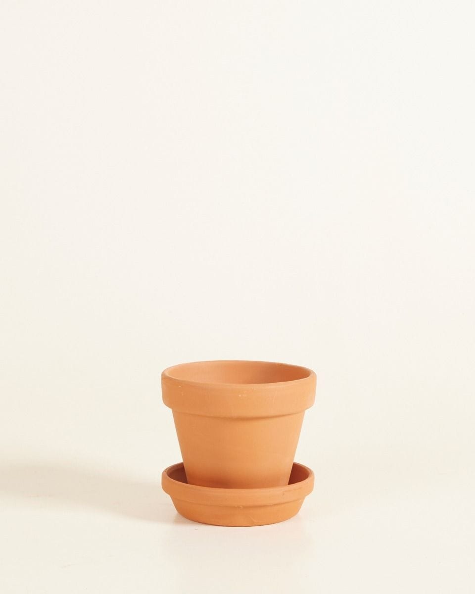 Bebé Orange Terracotta Pot Ø 9 cm