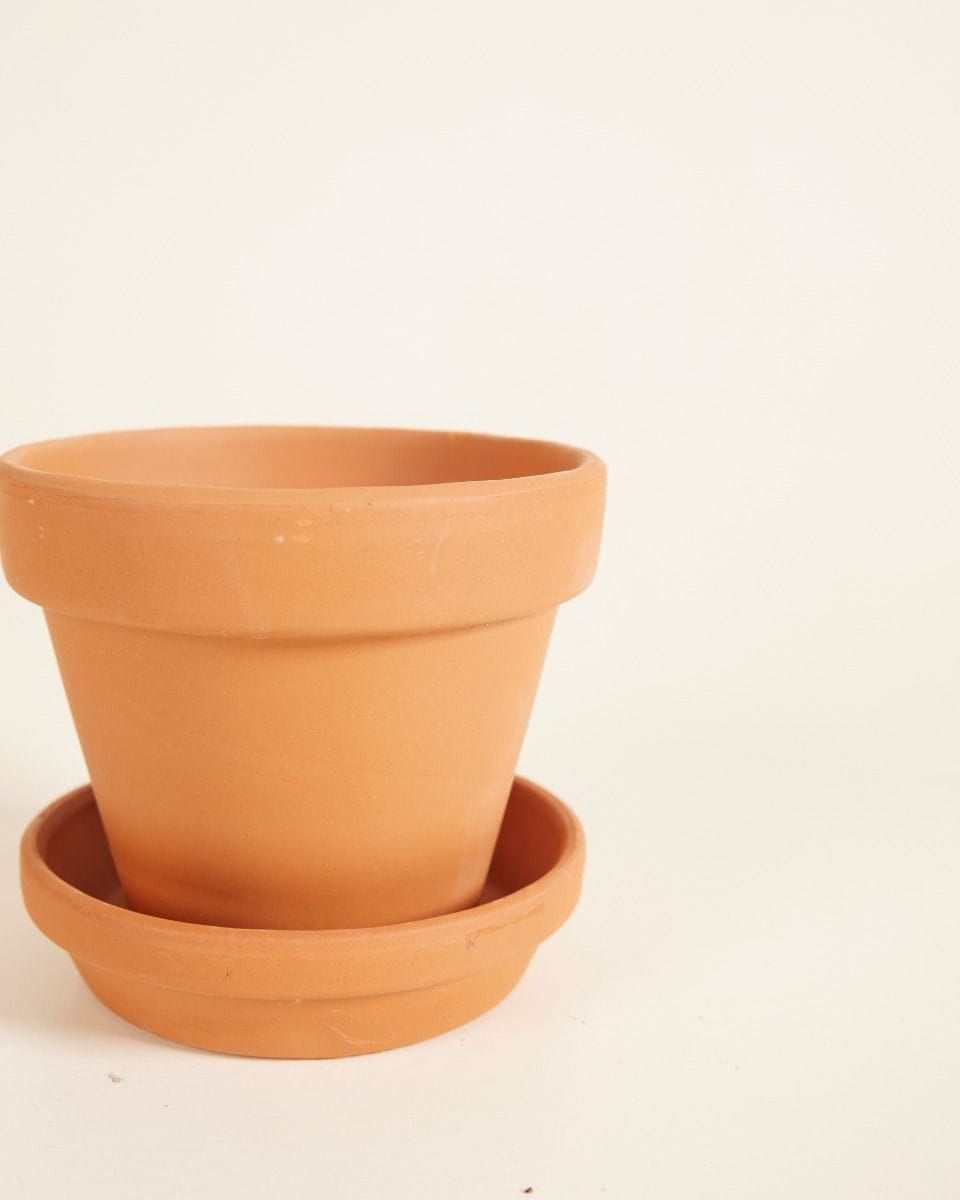 Bebé Orange Terracotta Pot Ø 9 cm