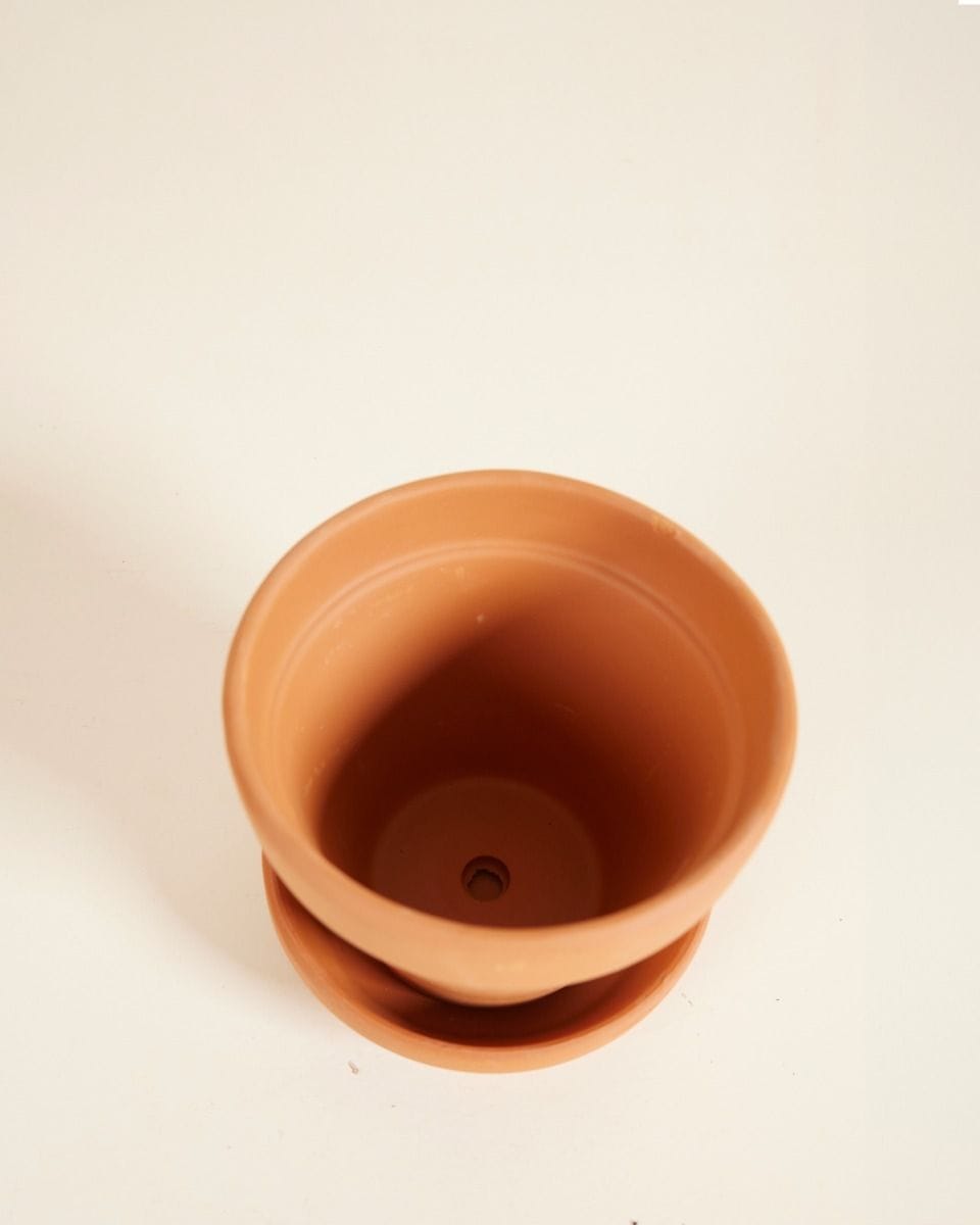 Bebé Orange Terracotta Pot Ø 9 cm