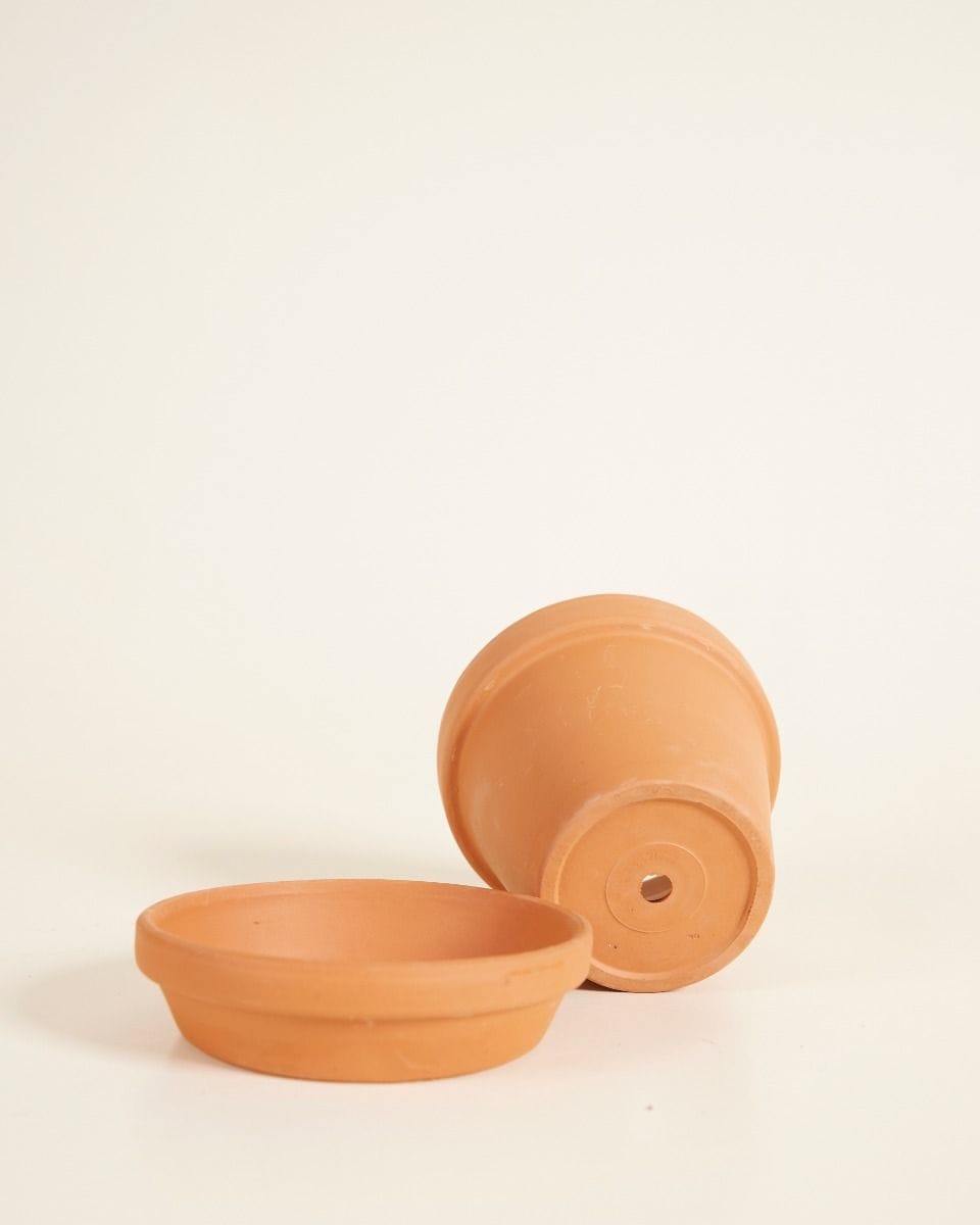 Bebé Orange Terracotta Pot Ø 9 cm