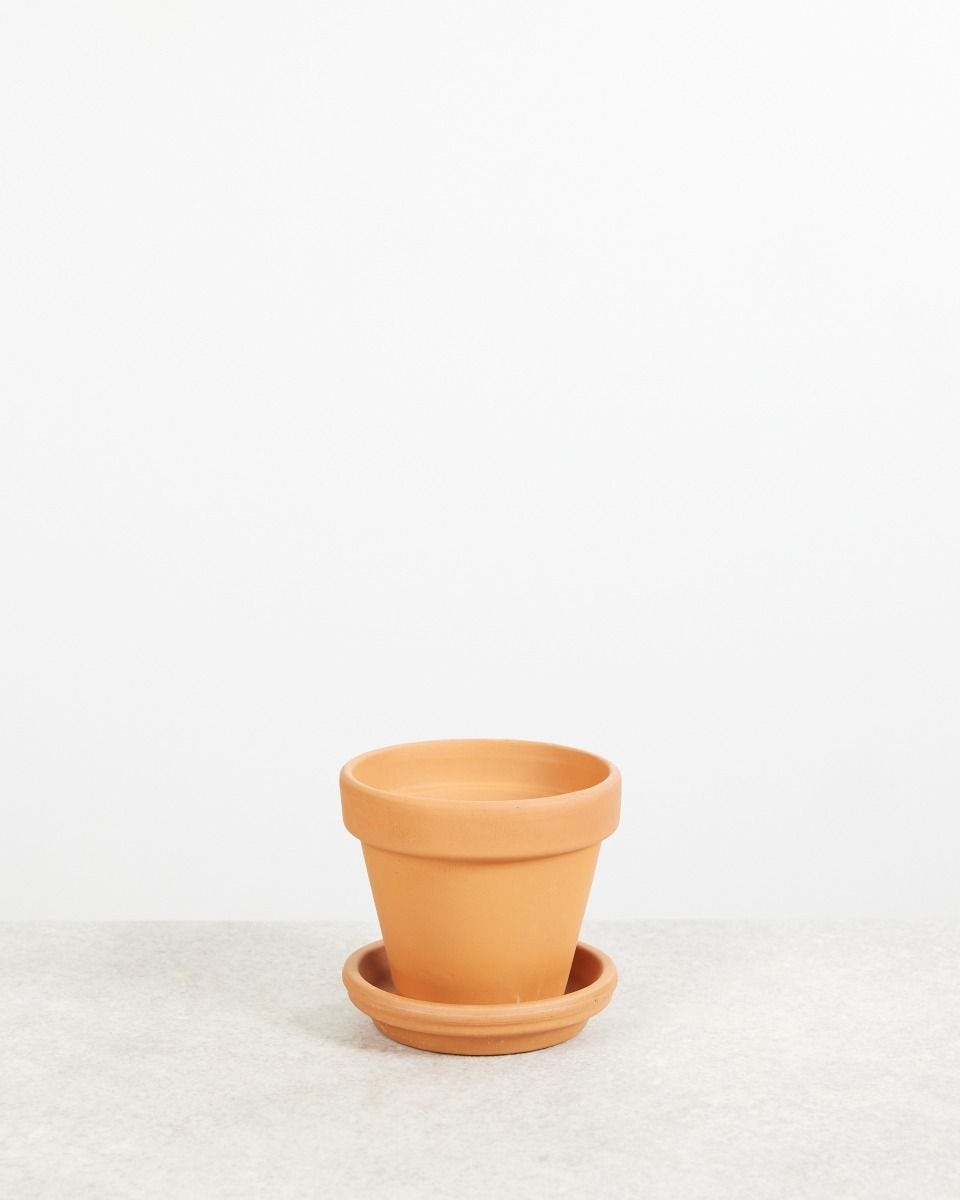 Terracotta Pot 11cm Orange