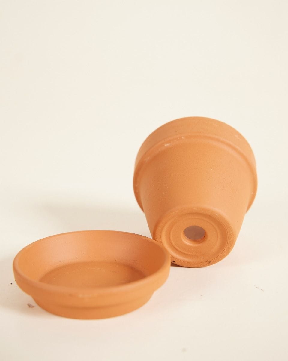 Bebé Orange Terracotta Pot Ø 5 cm