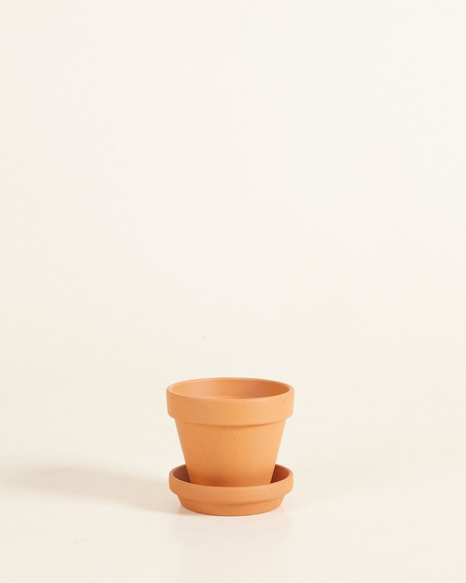 Bébé Pot en terre cuite Orange Ø 8 cm