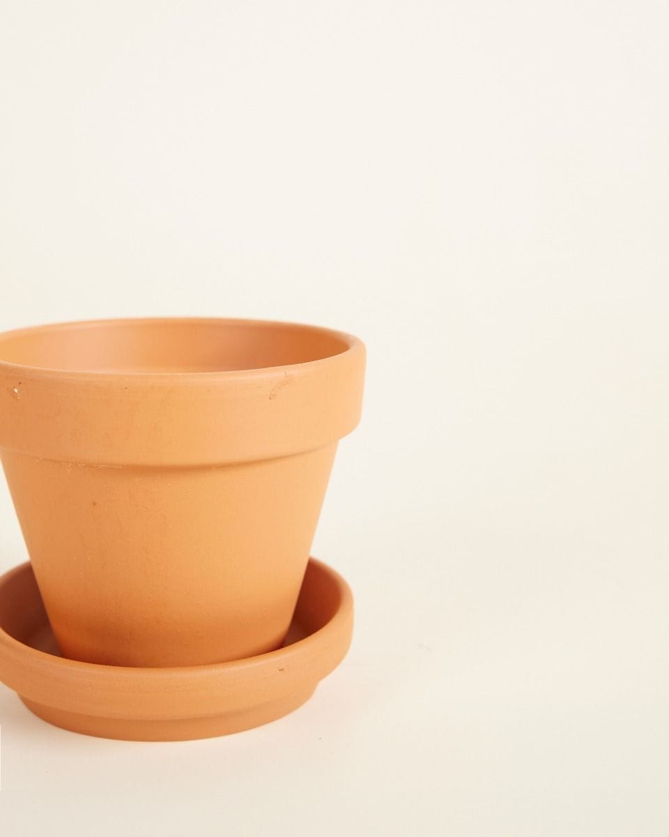 Bébé Pot en terre cuite Orange Ø 8 cm