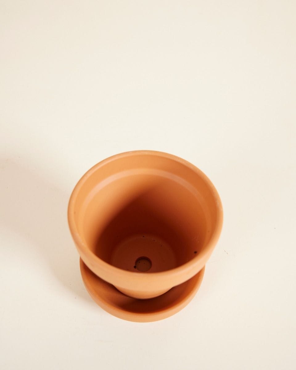 Bébé Pot en terre cuite Orange Ø 8 cm