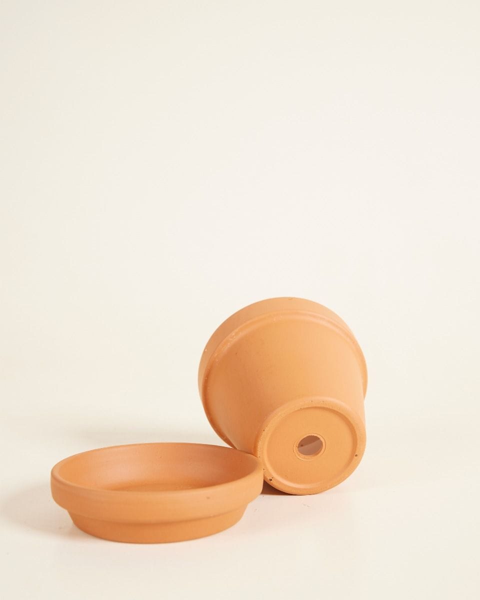 Bébé Pot en terre cuite Orange Ø 8 cm