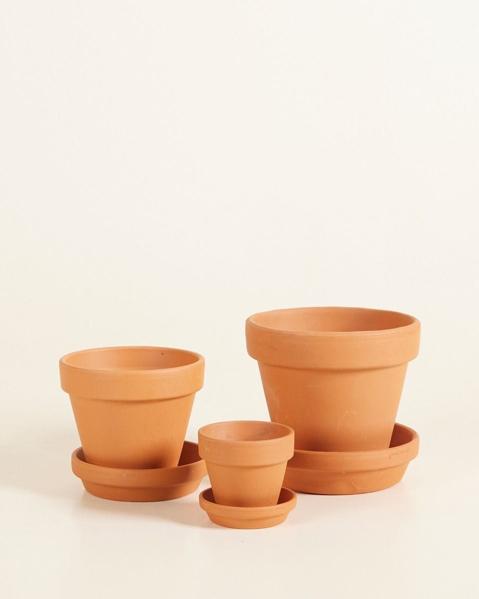 Bébé Pot en terre cuite Orange Ø 8 cm