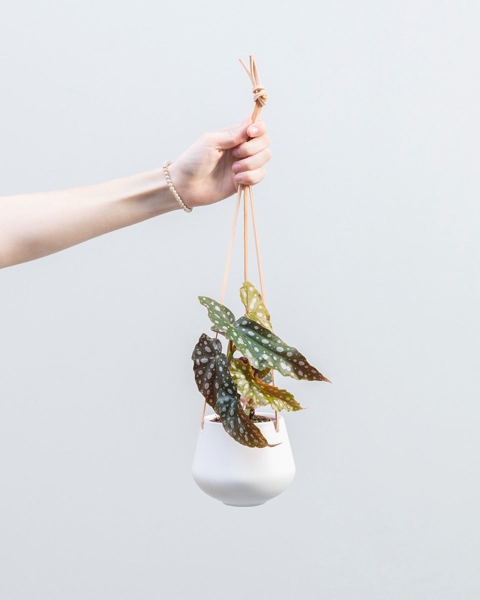 Eve Hanging Pot Ceramic
