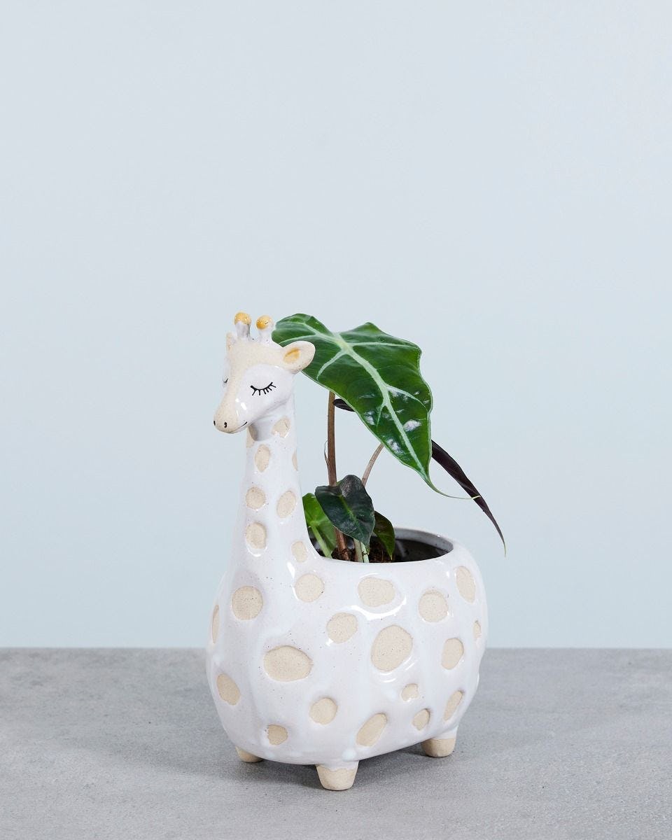 Gina Giraffe Pot Ceramic