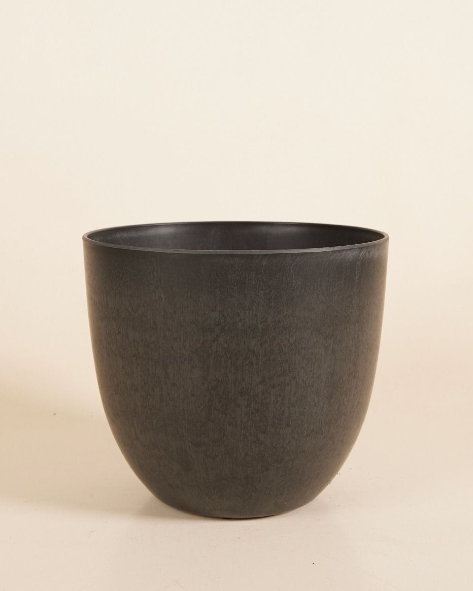 Bola Pot Black Ø 23