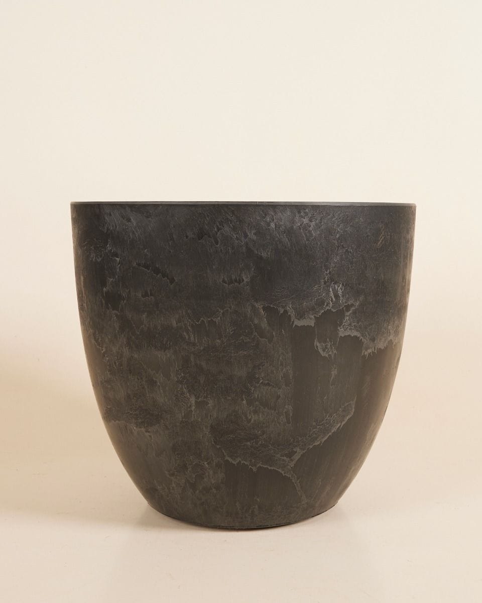 Bola Pot Black Ø 33