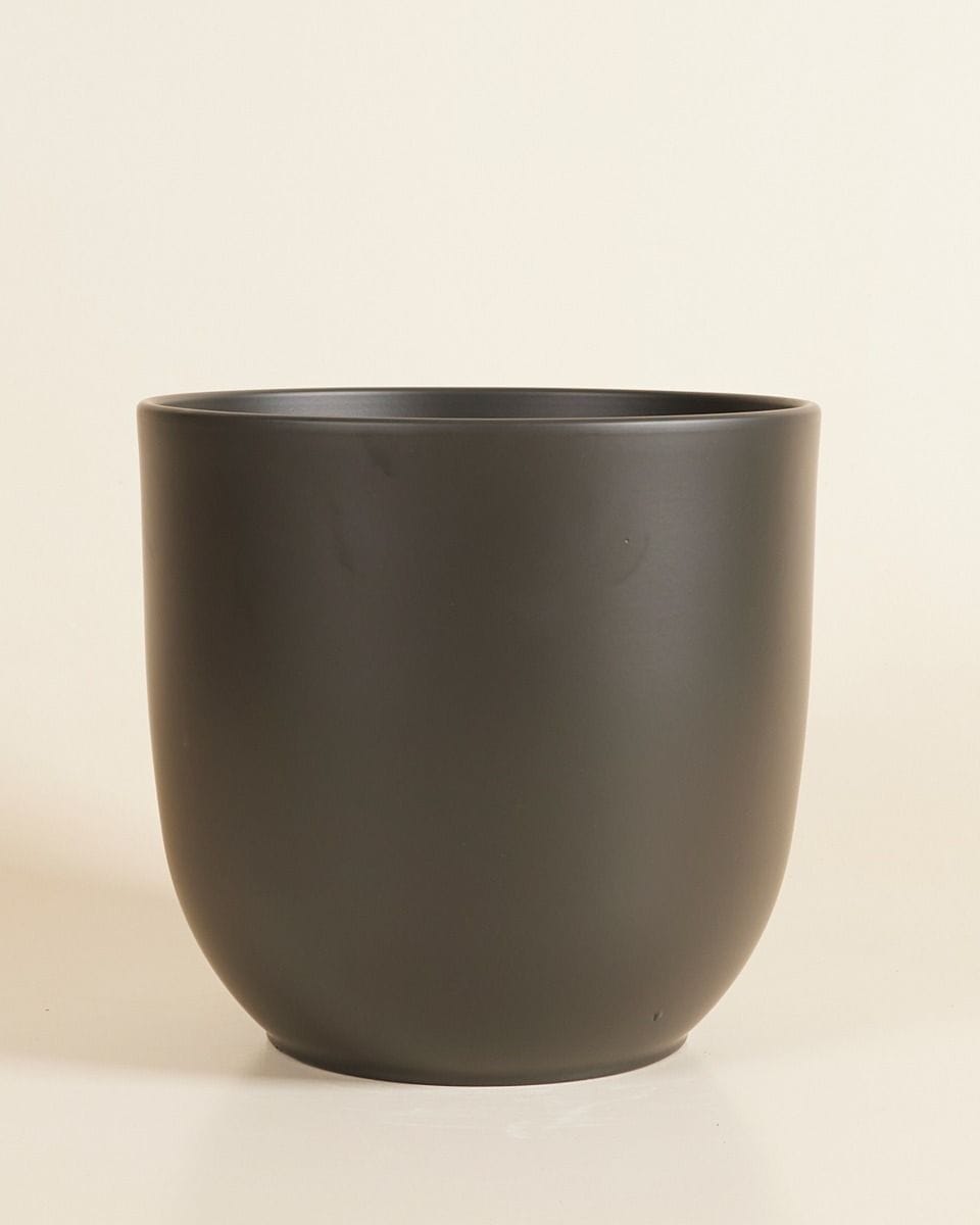 Lexi Pot Zwart Ø 23 cm