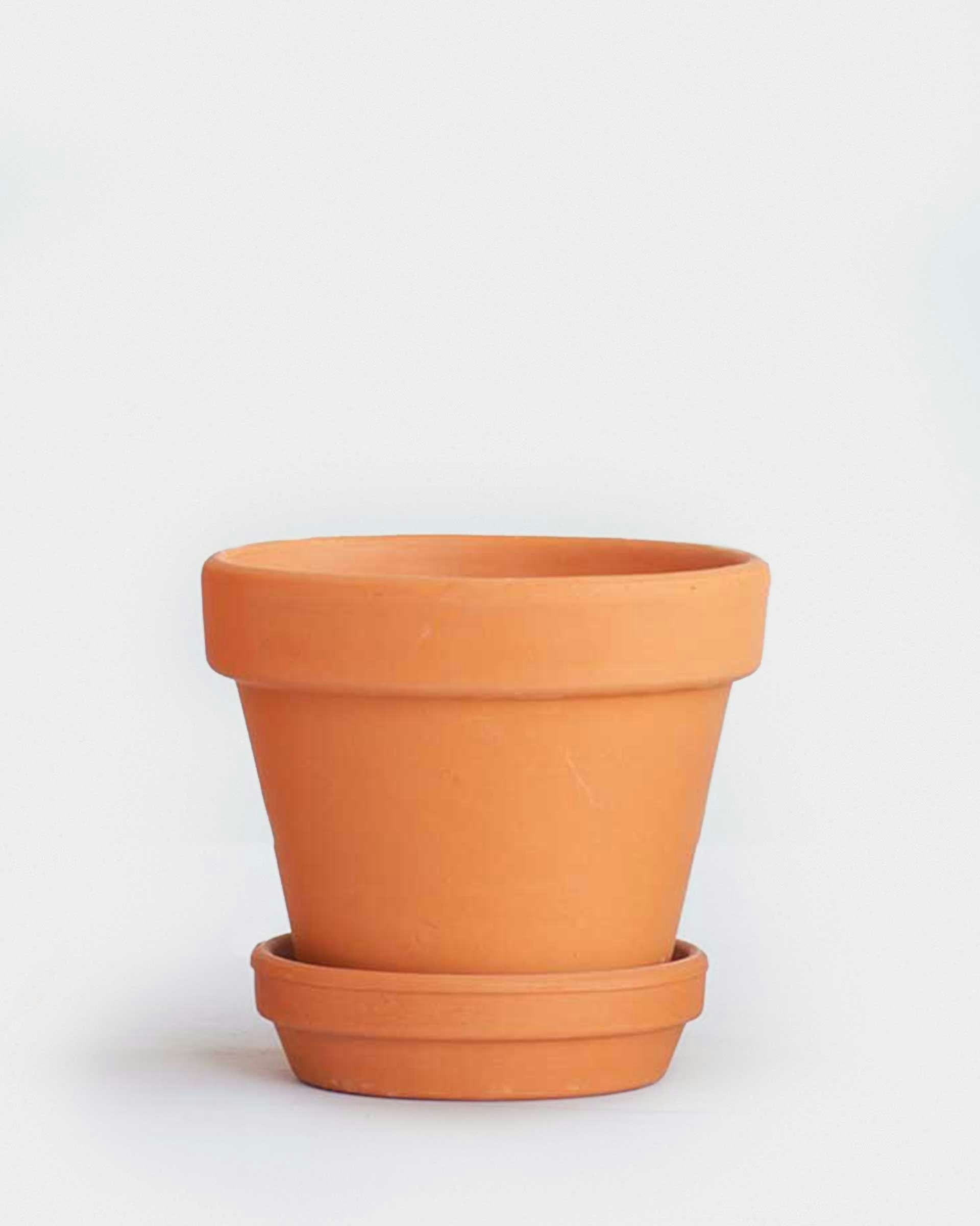 Terracotta Pot 11cm