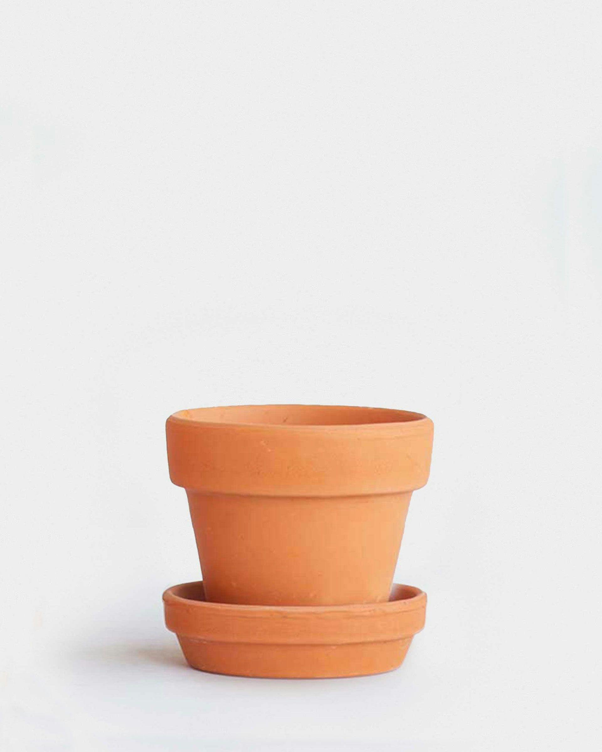 Terracotta Pot 5cm