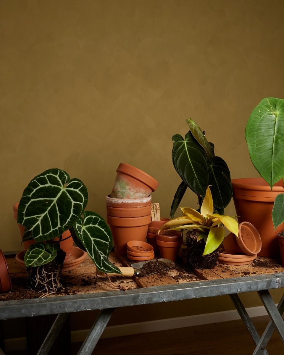 Sustainability box Medium Product set