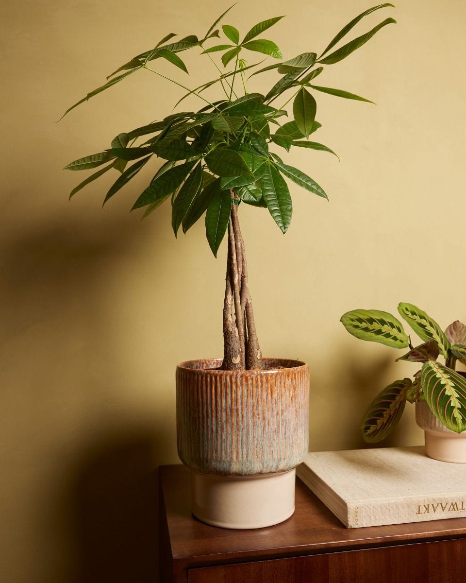 Jade Pot Green Ø 19 cm