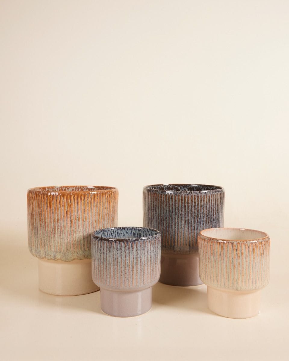 Jade Pot Brown Ø 12 cm