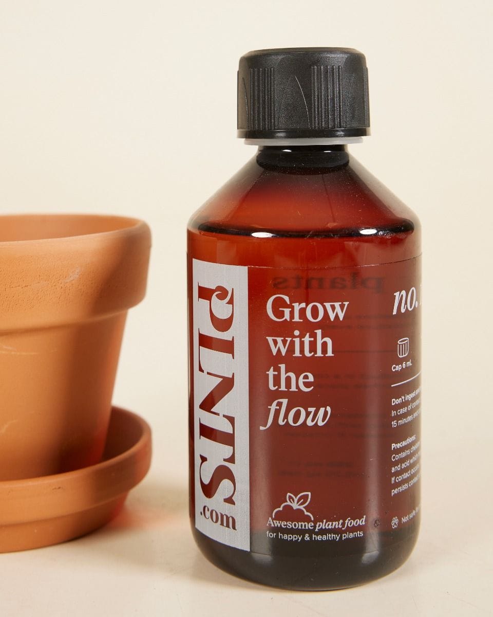 Grow Set 1 Terracotta 9cm, Plant Nutrition